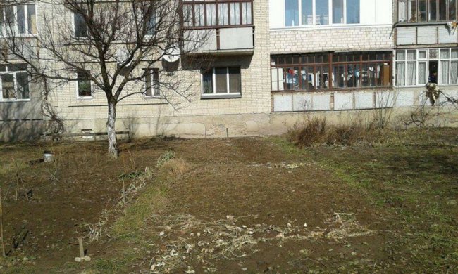 У Луцьку муніципали «прославили»  голову ОСББ