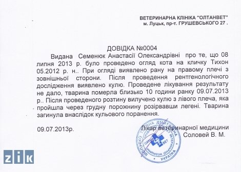 На Волині чоловік розважається стріляниною по тваринах