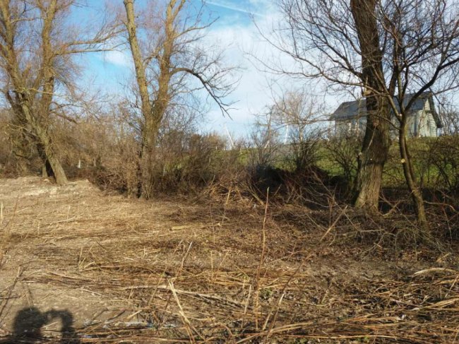 Жителі села під Луцьком розчистили берег річки. ФОТО