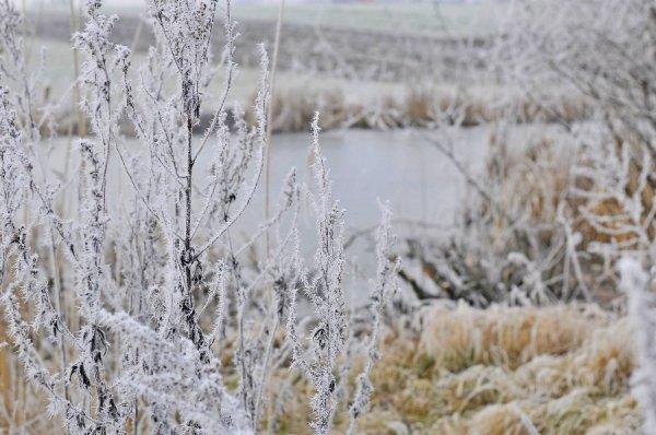 Волинь в льодяному тумані. ФОТО