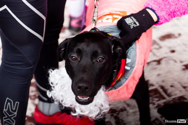 Благодійний забіг Миколаїв у Луцьку: як це було. ФОТОРЕПОРТАЖ