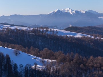 Карпати в очікуванні весни на світлинах волинського фотографа