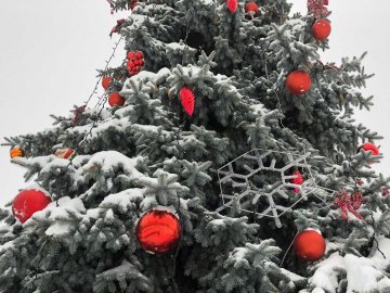 Вперше біля луцького РАЦСу прикрасили новорічну красуню. ФОТО