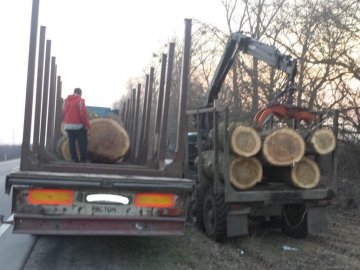 На Горохівщині зупинили вантажівку зі зрізаними тополями