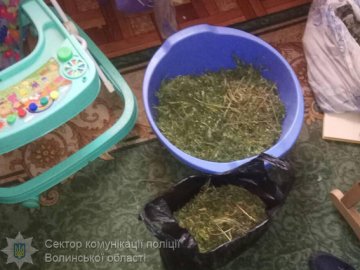 У помешканні волинянина знайшли 2 кілограми наркотиків