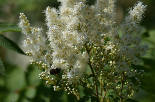 Фотовиставка: Сергій Олешкевич