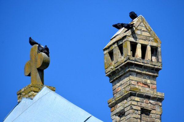 Фотовиставка: Сергій Олешкевич