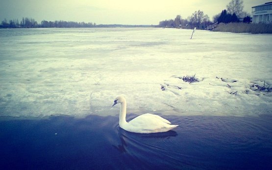 Фото «типового» Ковеля
