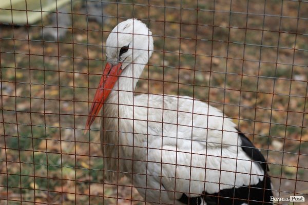 У Луцьку відкрили оновлений зоопарк. ФОТО 