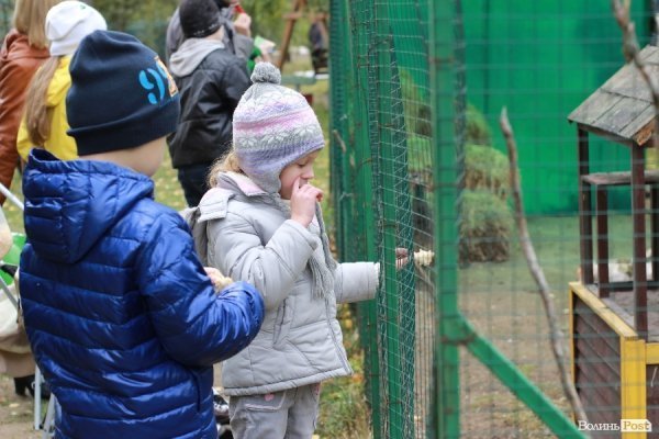 У Луцьку відкрили оновлений зоопарк. ФОТО 