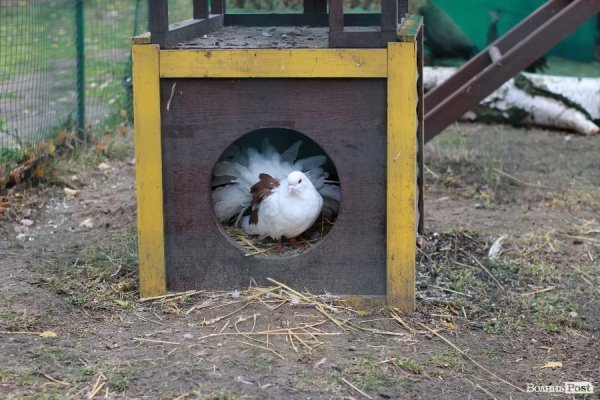 У Луцьку відкрили оновлений зоопарк. ФОТО 