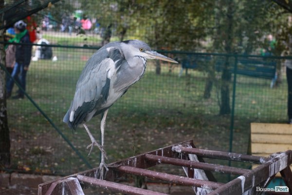 У Луцьку відкрили оновлений зоопарк. ФОТО 