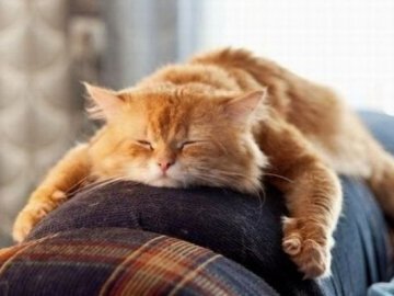 Куди піти у вихідні: 24-26 лютого