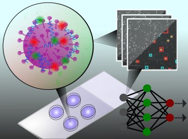 Вчені розробили новий «п'ятихвилинний» тест на коронавірус