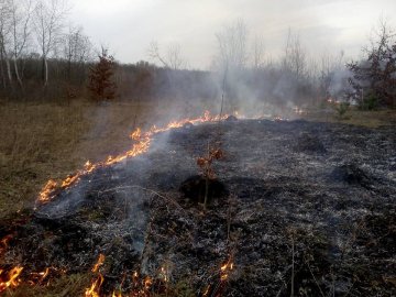 На Волині оголосили винагороду за палія