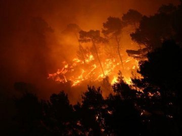 У Хорватії – масштабні пожежі: горить відомий курорт