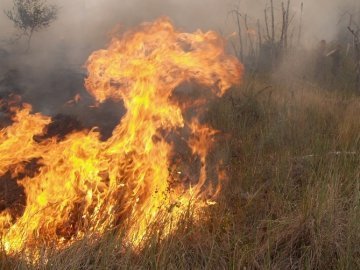 На Волині рятувальники ліквідували загоряння сухої трави 