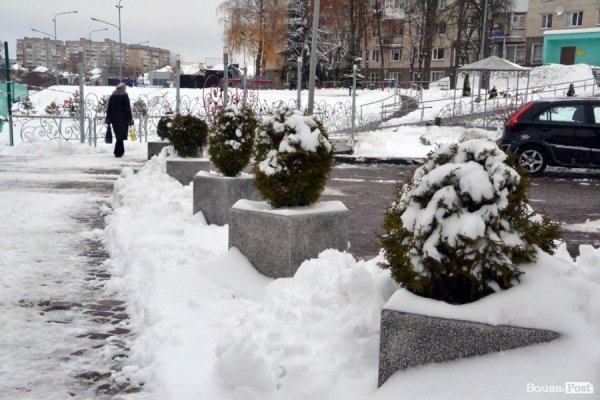 Фото снігового ранку в Луцьку