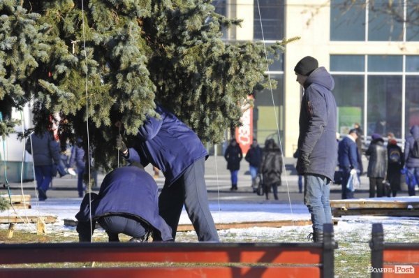 Новий Рік приходить: Луцькі ялинки прикрашають