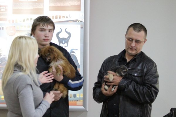 У Луцьку запровадили «уроки» гуманності