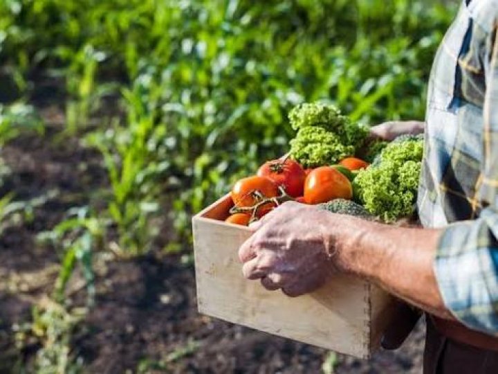 На Волині зменшилося виробництво сільськогосподарської продукції