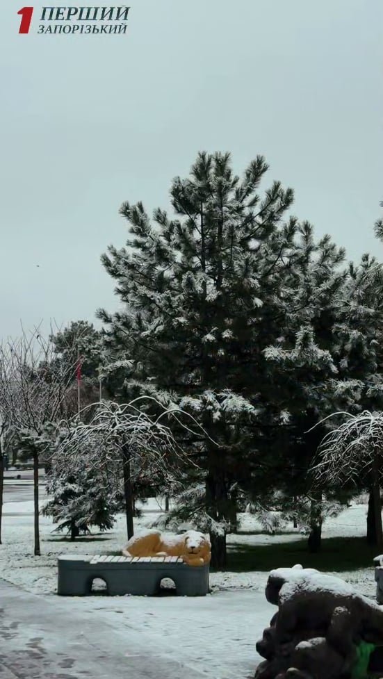 Засніжило знову в українських містах: де саме