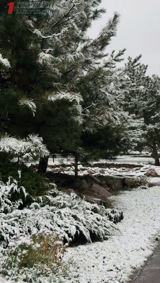 Засніжило знову в українських містах: де саме