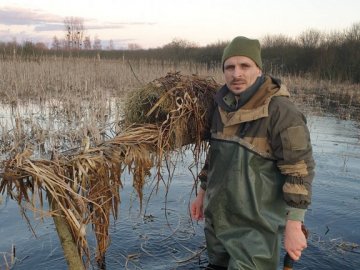 На волинському озері для диких качок облаштували житло. ФОТО 
