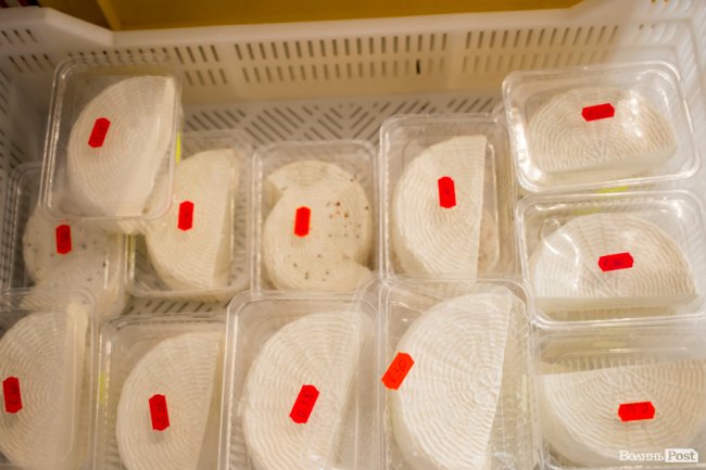 Волинські та рівненські виробники частували лучан сиром. ФОТО