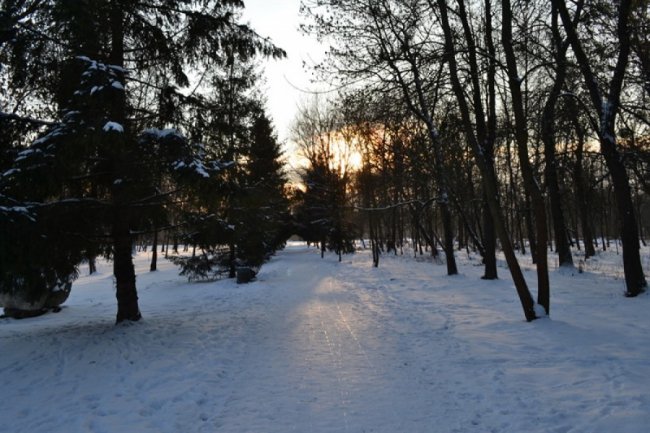 Зимовий спокій центрального парку Луцька. ФОТО