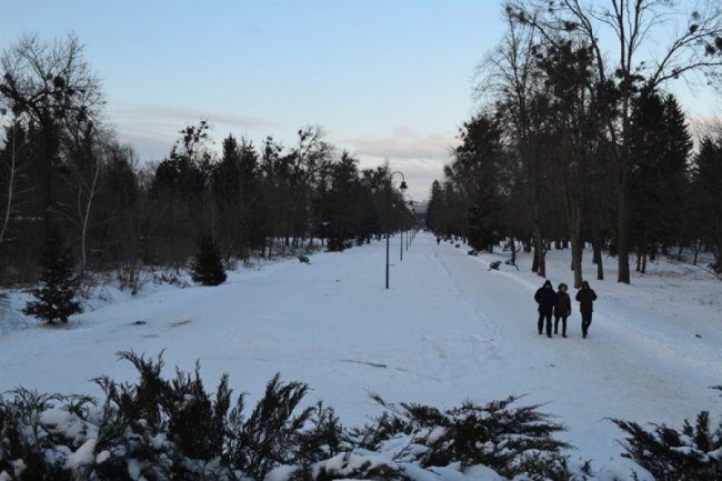 Зимовий спокій центрального парку Луцька. ФОТО