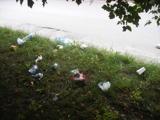 У Ковелі газон закидали сміттям і підгузками. ФОТО