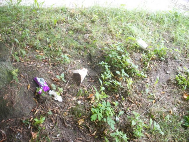 У Ковелі газон закидали сміттям і підгузками. ФОТО