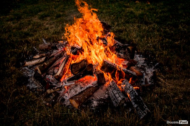 Ніч на Івана Купала в Луцькому зоопарку. ФОТО