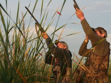 Стартував сезон полювання на пернатих: які правила для мисливців