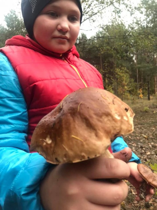 Мешканці району на Волині похизувалися чималим грибним «уловом». ФОТО