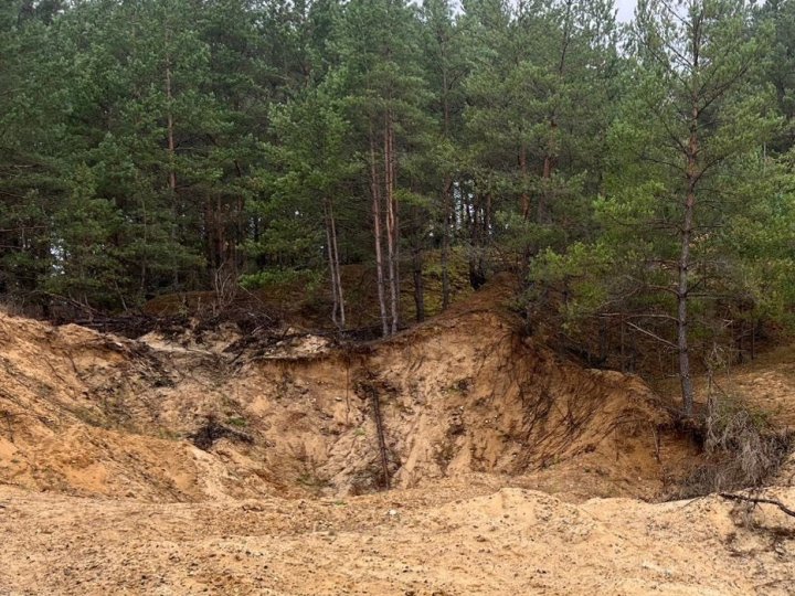У лісі на Волині знайшли незаконний кар'єр. ФОТО