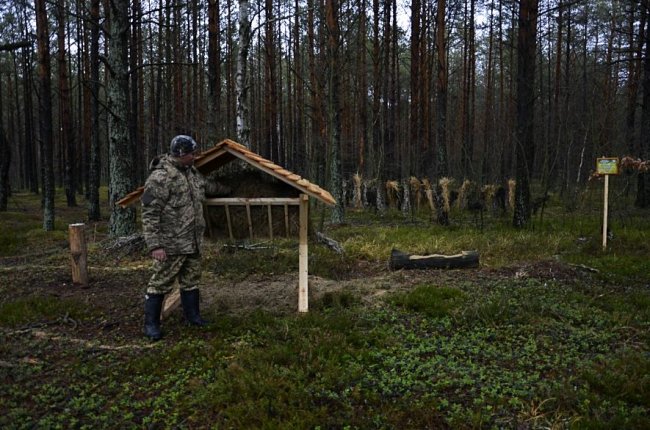 Як у волинському нацпарку підгодовують диких мешканців лісу. ФОТО
