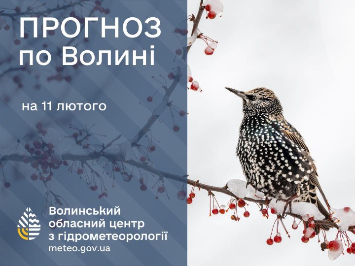 Якою буде погода у Луцьку та на Волині у середу, 11 лютого