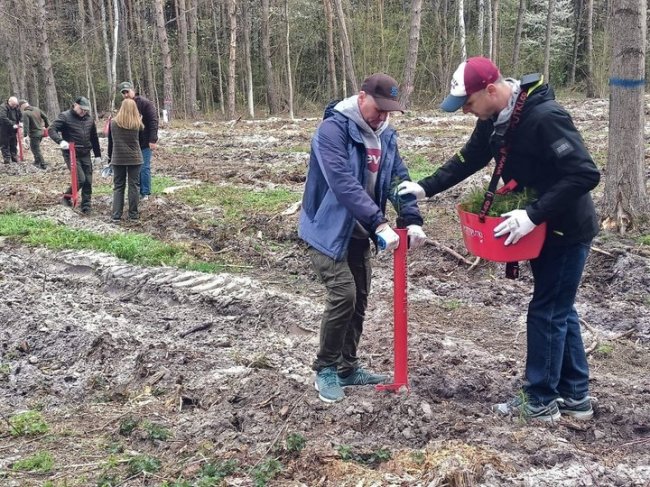На честь воїнів, які загинули  в боях за Україну: на Волині висадили «Ліс пам’яті»