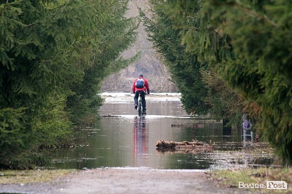 Повінь у Луцьку. ФОТО. ВІДЕО