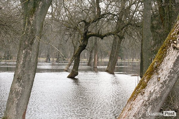 Повінь у Луцьку. ФОТО. ВІДЕО