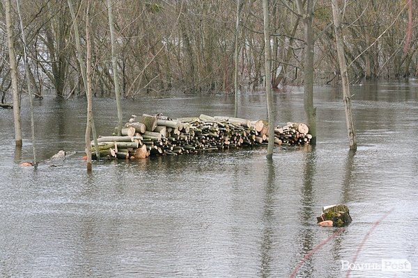 Повінь у Луцьку. ФОТО. ВІДЕО