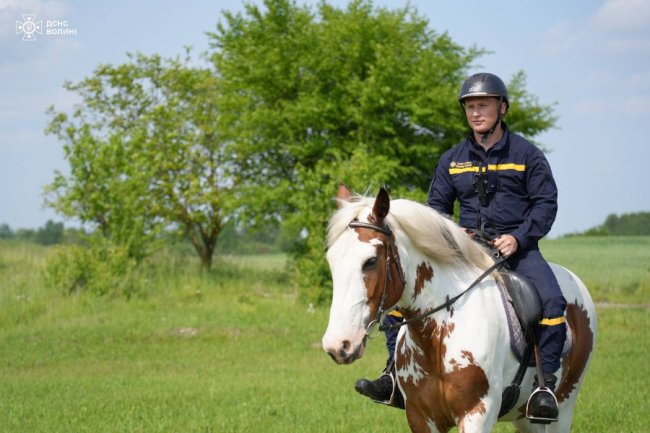 Волинські піротехніки відновлювалися іпотерапією. ФОТО