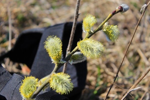Як у Луцьку «літали» джампери. ФОТО