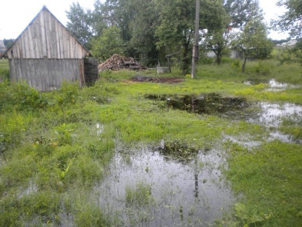 Волинь знову підтоплює. ФОТО