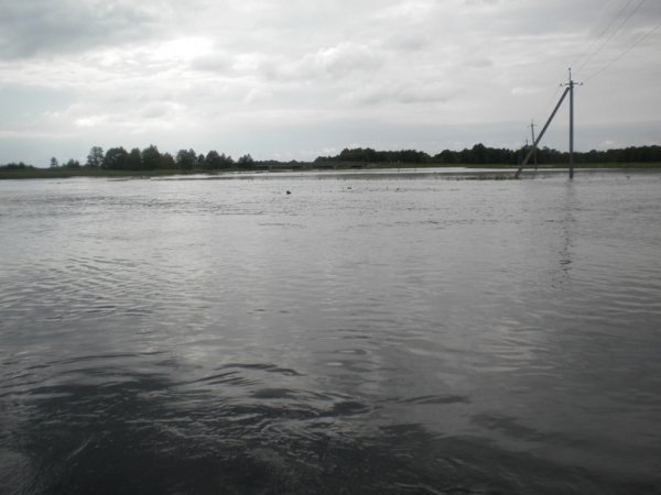 Волинь знову підтоплює. ФОТО