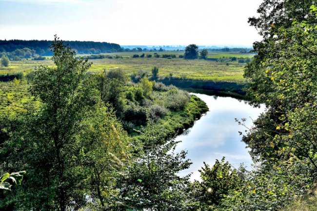 Дивовижні краєвиди волинського нацпарку на світанку. ФОТО