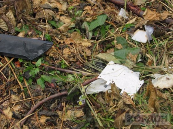 В любомльських лісах знайшли «автомобіль-привид». ФОТО