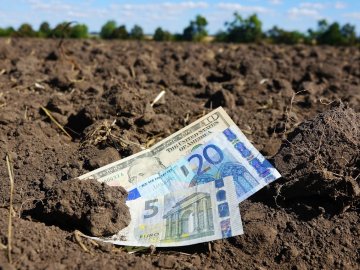 Посадовиця Держгеокадастру на Волині завдала державі збитків на понад 25 мільйонів гривень